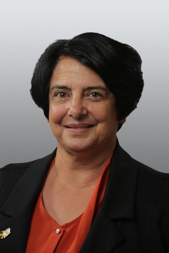 Matti Sarfatti Harcavi
