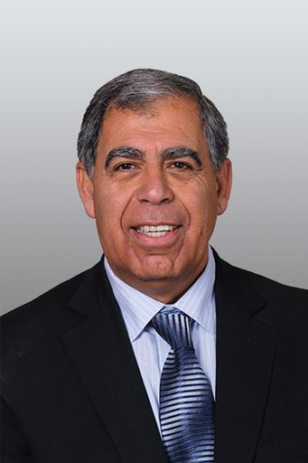 Mickey Levy