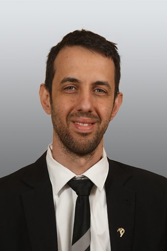 Ariel Kallner